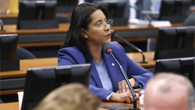 Gisela critica PL que abranda punições à empresas e diz que consumidor pode pagar a conta
