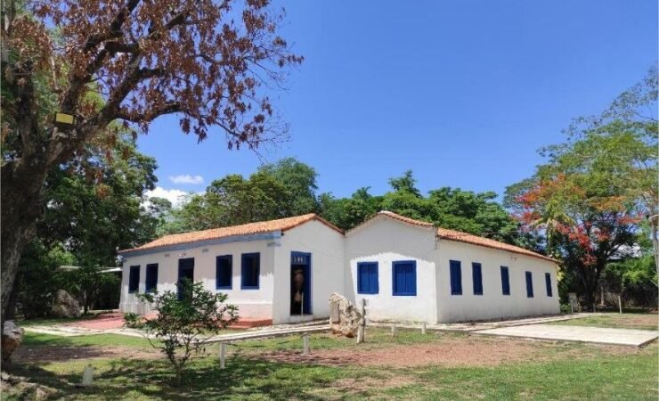 Museu de História Natural de MT celebra o mês do meio ambiente com feira permanente