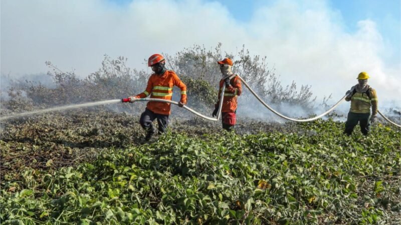 Corpo de Bombeiros divulga resultado da análise de títulos de seletivo para brigadistas temporários