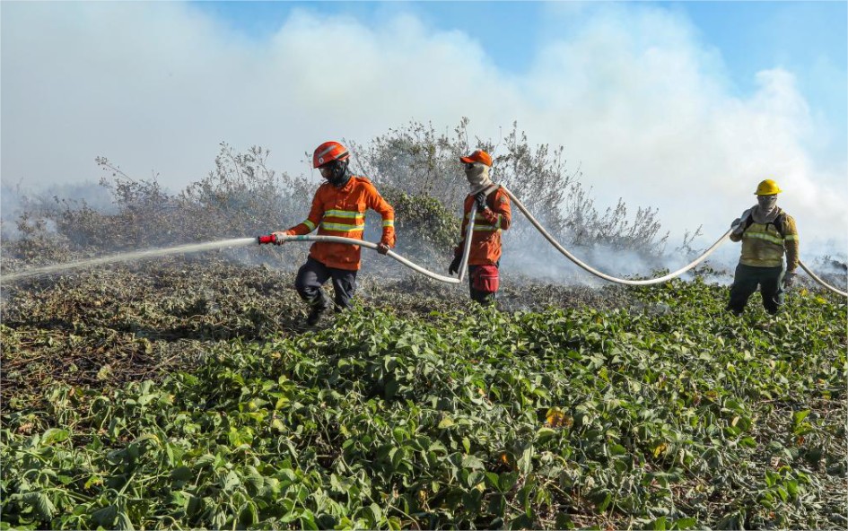 Corpo de Bombeiros divulga resultado da análise de títulos de seletivo para brigadistas temporários