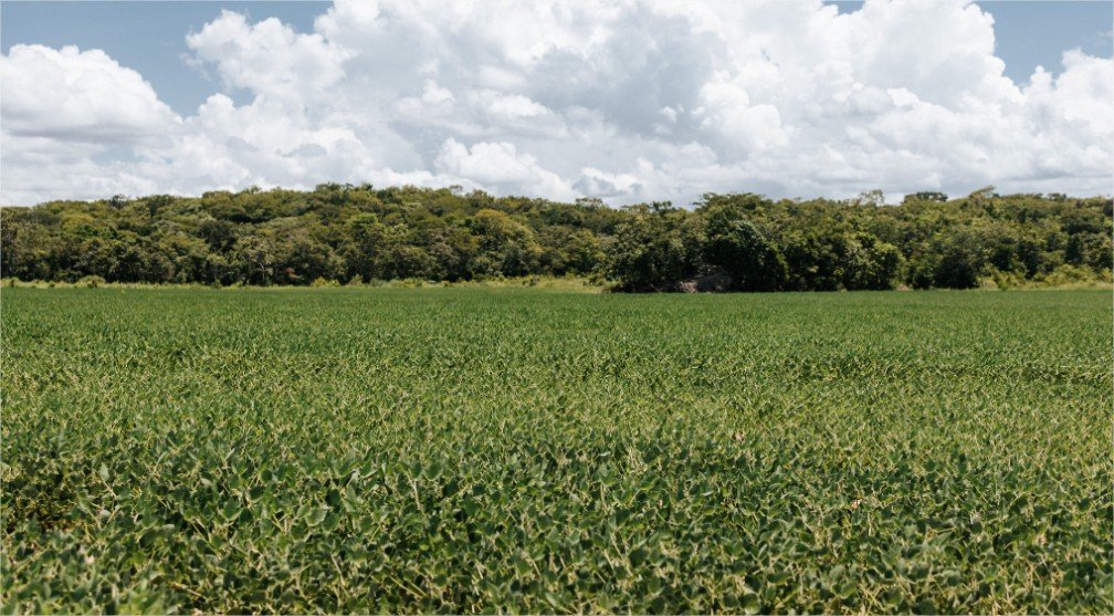 STF homologa Plano Estadual de Regularização Ambiental de MT e destaca evolução do planejamento
