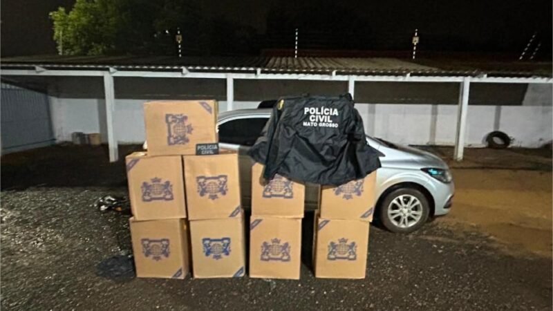 Polícia Civil prende mulher com 495 caixas de cigarros contrabandeados em Nova Olímpia
