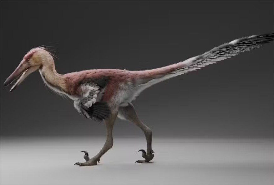 Fóssil encontrado na Argentina revela dinossauro que se parecia com garça