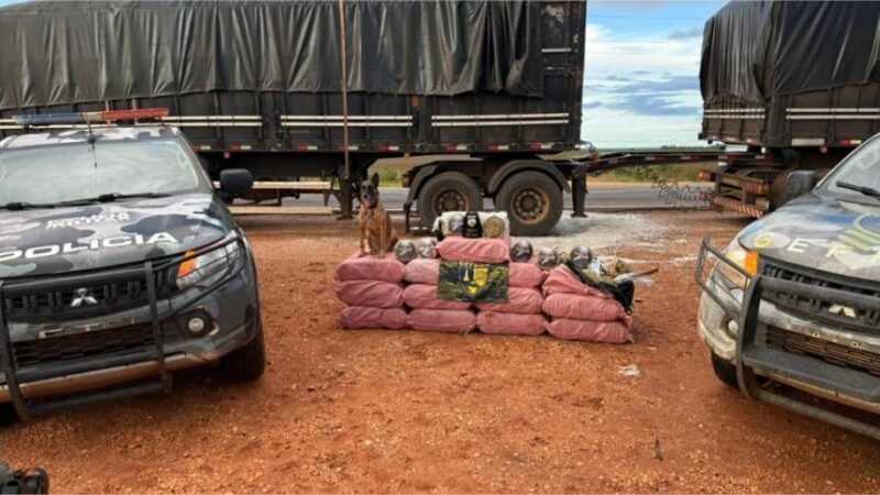 Operações integradas do Gefron provocaram prejuízo de R$ 2,5 bilhões às facções criminosas em pouco mais de sete anos