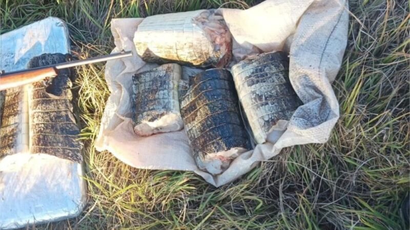 Sema apreende 22 quilos de pescado e de carne de jacaré em Poconé