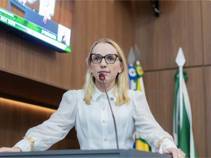 Feminicídios e violência doméstica pautam discurso de alerta entre vereadores