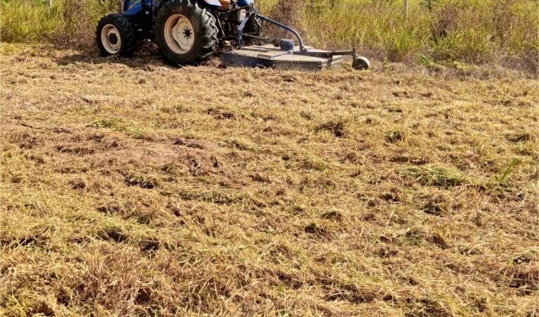 Moradores do Bela Vista recebem serviço de limpeza em área esportiva do bairro