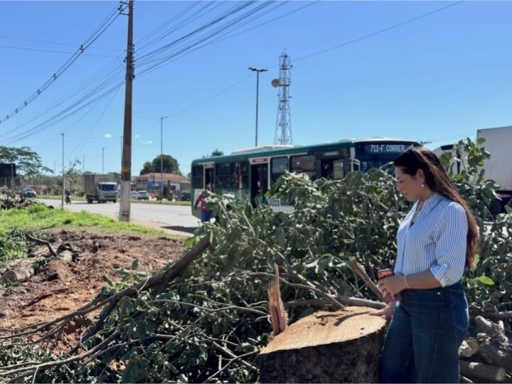 Vereadora questiona derrubada de árvores na Fernando Corrêa