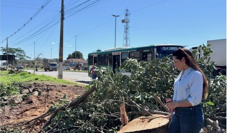 Vereadora questiona derrubada de árvores na Fernando Corrêa