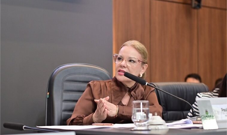 A convite de Paula Calil, especialista apresenta plano de fortalecimento da mobilidade urbana
