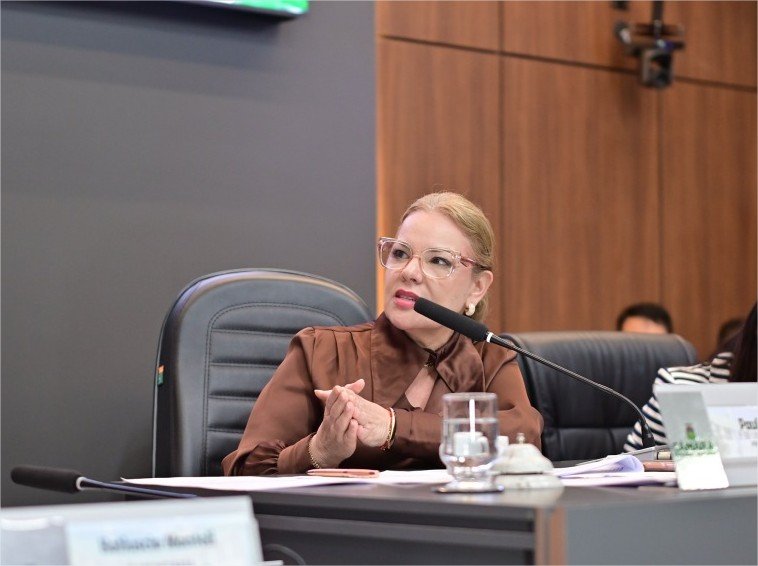 A convite de Paula Calil, especialista apresenta plano de fortalecimento da mobilidade urbana