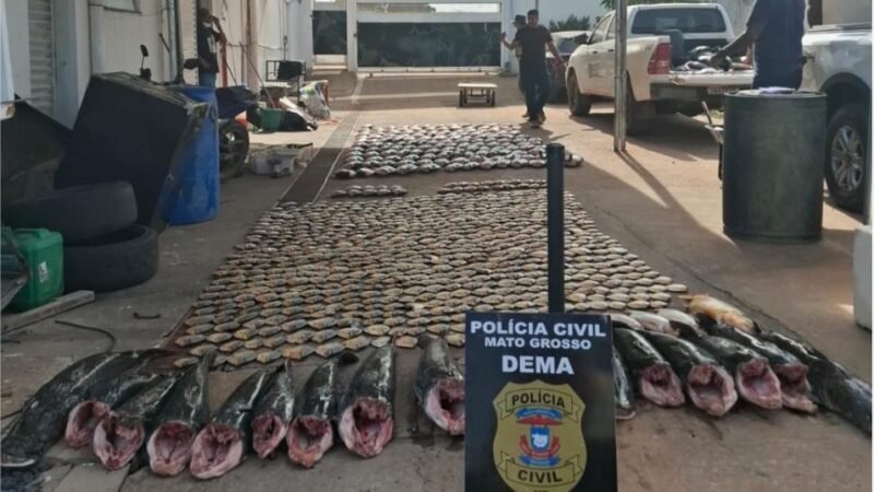 Polícia Civil apreende mais de 900 quilos de pescado irregular e desarticula esquema de pesca predatória em Cuiabá