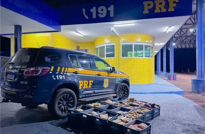 PRF apreende mais de 280 quilos de drogas em ações na BR-364 em Mato Grosso
