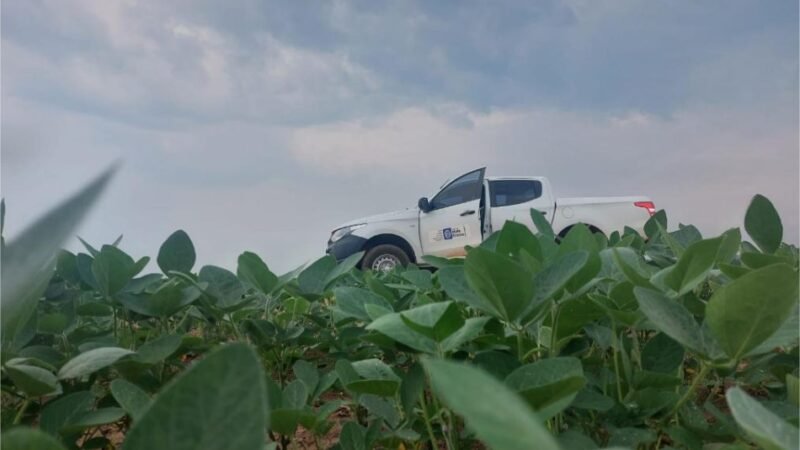 Vazio sanitário da soja já está em vigência em Mato Grosso