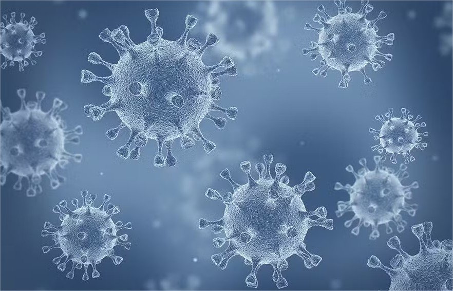Novo vírus gigante pode revelar pistas sobre a origem das células complexas