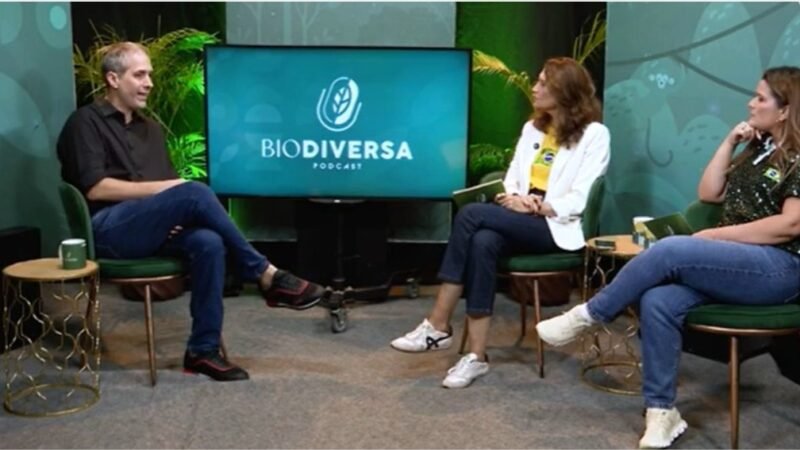 “É proibido não acreditar”, diz Ricardo Gluck Paul sobre o Brasil na Copa