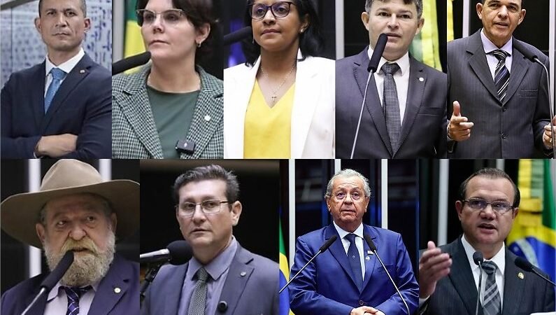Câmara federal: Parlamentares de MT seguiram seus planos de governo ou só ficaram em projetos