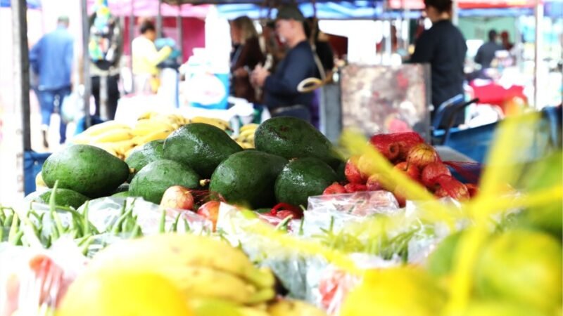 Feira da Agricultura Familiar mantém movimento e fortalece renda de produtores mesmo com frio em Cuiabá