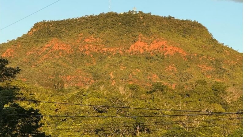Ampliação da rede trifásica vai ser um divisor de águas, afirma agricultor familiar