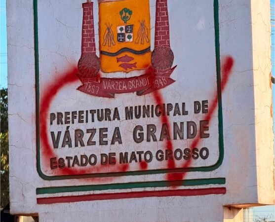 Fred Murta defende monitoramento e atuação do poder público contra pichações de facções