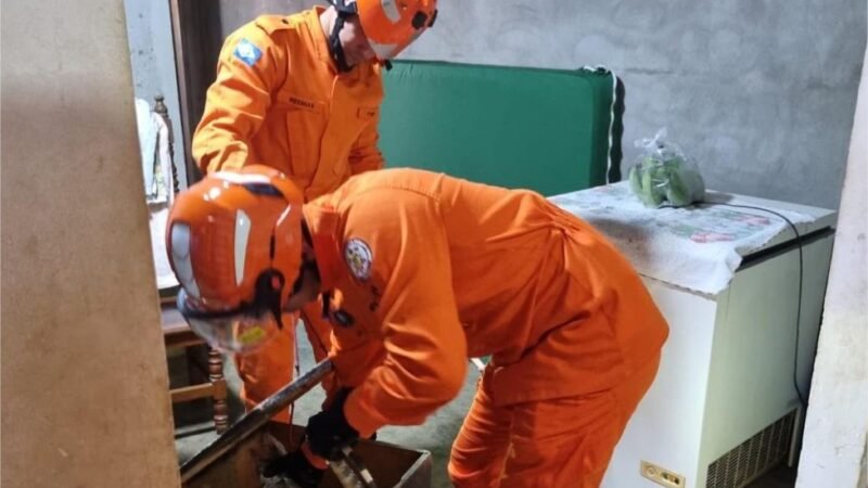 Corpo de Bombeiros resgata ouriço-cacheiro e lagarto teiú em áreas de risco de municípios