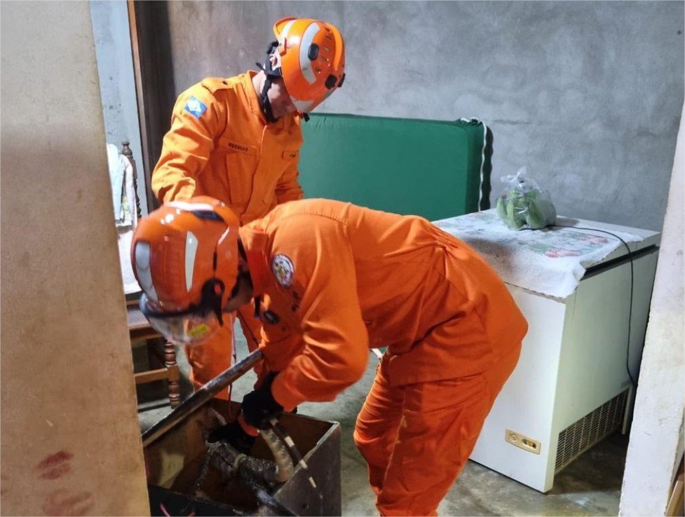 Corpo de Bombeiros resgata ouriço-cacheiro e lagarto teiú em áreas de risco de municípios