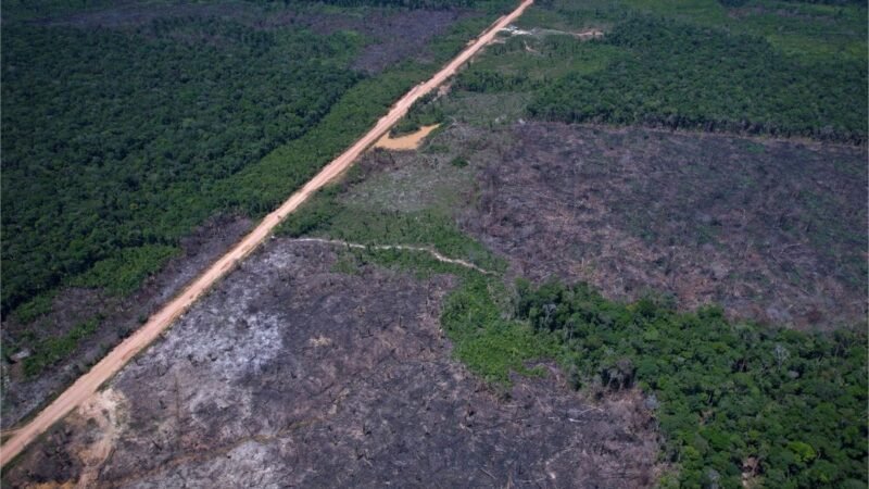 Eco Invest Brasil promove quinto leilão para financiar inovação