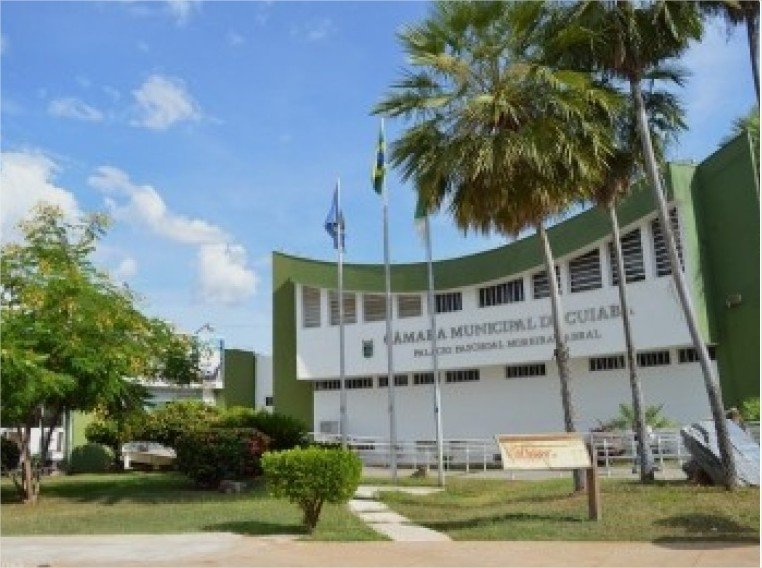 Comissão de Cultura aprova quatro matérias em reunião ordinária na Câmara