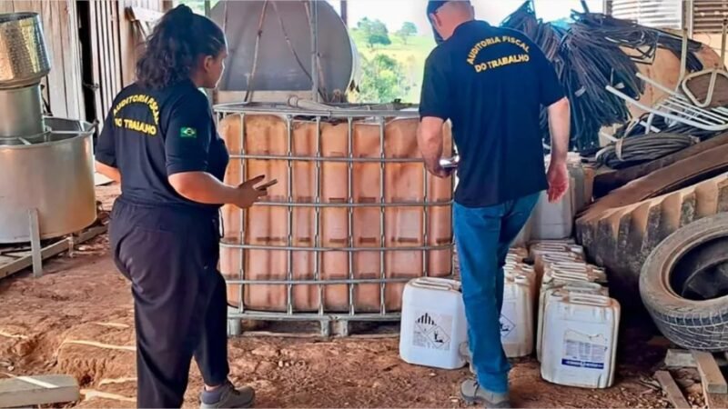 Operação do Ministério do Trabalho flagra falhas em silos no Norte de Mato Grosso e suspende atividades em fazenda