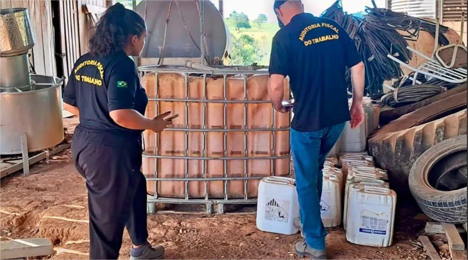 Operação do Ministério do Trabalho flagra falhas em silos no Norte de Mato Grosso e suspende atividades em fazenda
