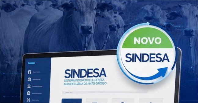 Sistema do Indea-MT ficará indisponível de 6 a 9 de agosto