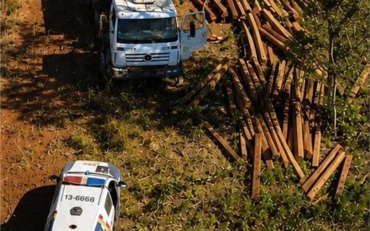 Polícia Militar prende dois homens suspeitos por extração ilegal de madeira em Campinápolis
