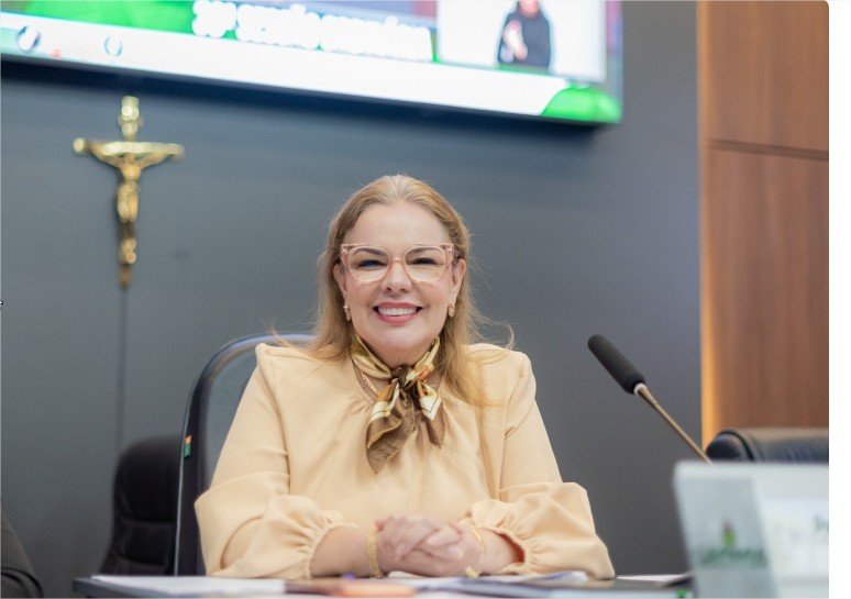 Paula Calil encerra semestre com 7.595 indicações e 15 projetos de lei aprovados