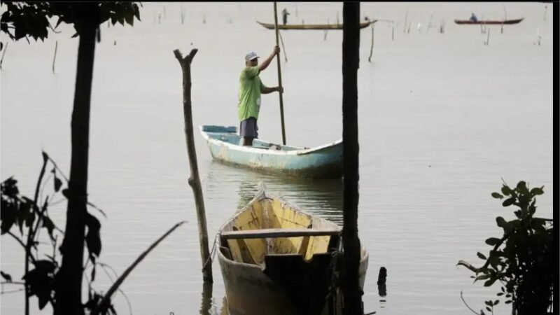 Governo de Mato Grosso negocia ajustes na Lei da Pesca em meio a debates na ALMT e STF