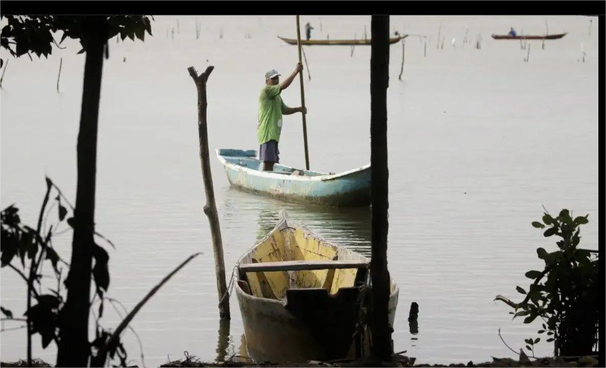 Governo de Mato Grosso negocia ajustes na Lei da Pesca em meio a debates na ALMT e STF