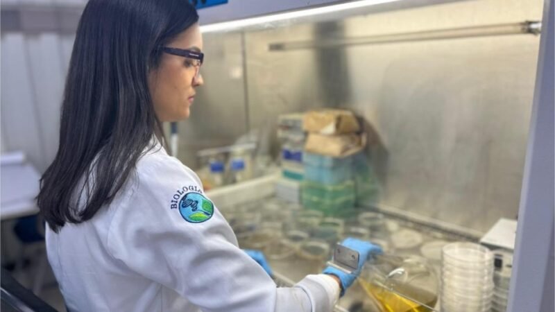 Fapemat lança edital de R$ 23,3 milhões para fortalecer a pesquisa em Mato Grosso