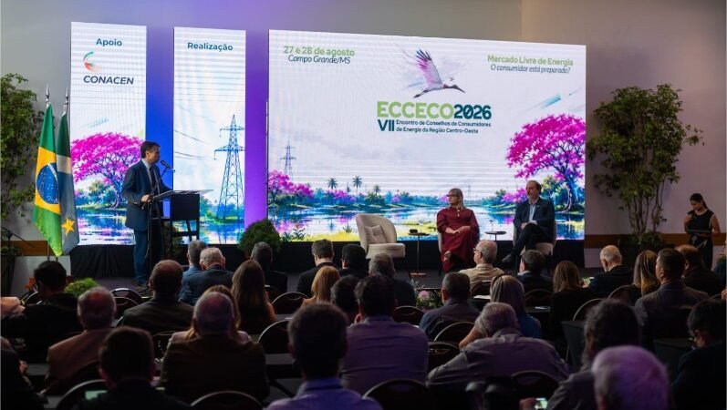 Conselheiros de Mato Grosso participam de debate sobre nova era do mercado de energia
