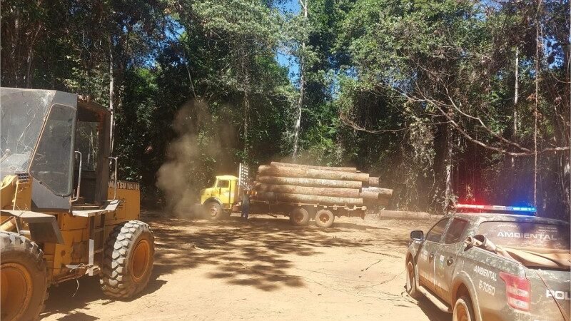 Batalhão Ambiental da PM identifica desmatamento irregular e aplica mais de  R$ 7,2 milhões em multas