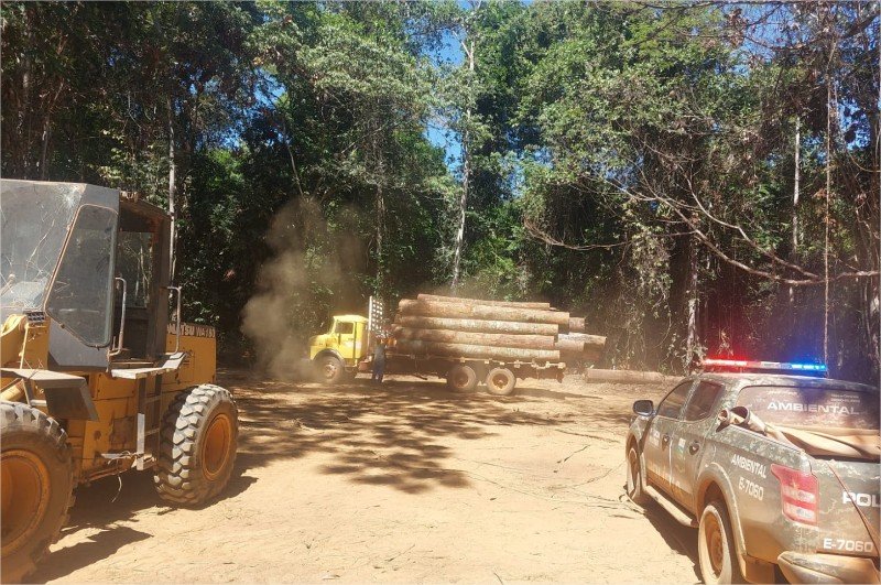 Batalhão Ambiental da PM identifica desmatamento irregular e aplica mais de  R$ 7,2 milhões em multas