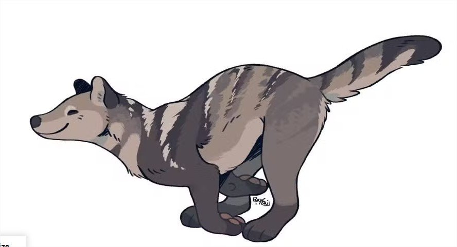 Cachorro de 30 milhões de anos era atarracado, escalava árvores e armava emboscadas