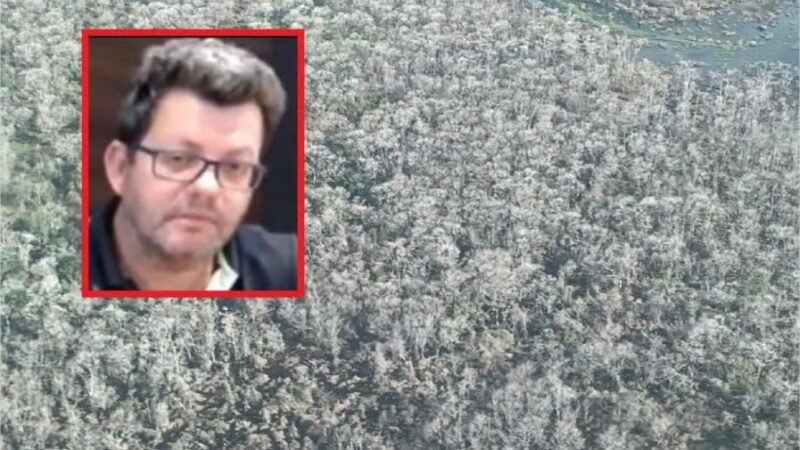 “Maior desmatador do Pantanal” é mantido condenado pelo TJ por degradar mais de mil hectares em fazenda