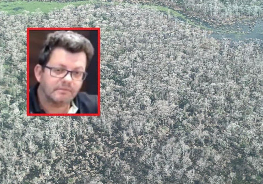 “Maior desmatador do Pantanal” é mantido condenado pelo TJ por degradar mais de mil hectares em fazenda