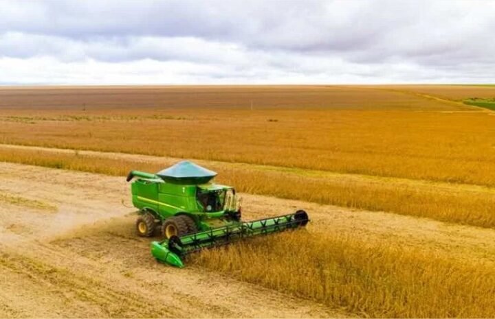 Soja, milho e bovinos devem gerar R$ 741 bilhões em 2026