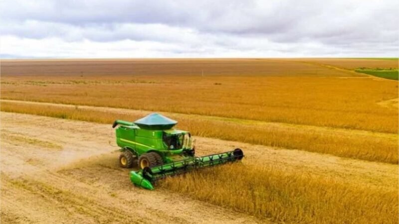 Soja, milho e bovinos devem gerar R$ 741 bilhões em 2026
