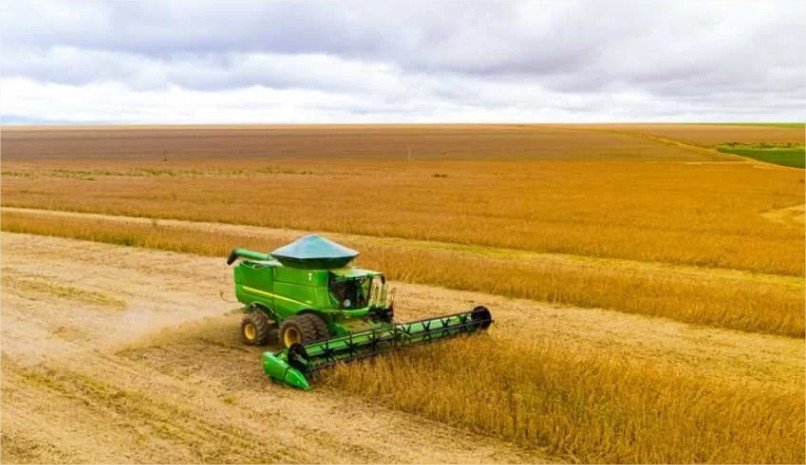 Soja, milho e bovinos devem gerar R$ 741 bilhões em 2026