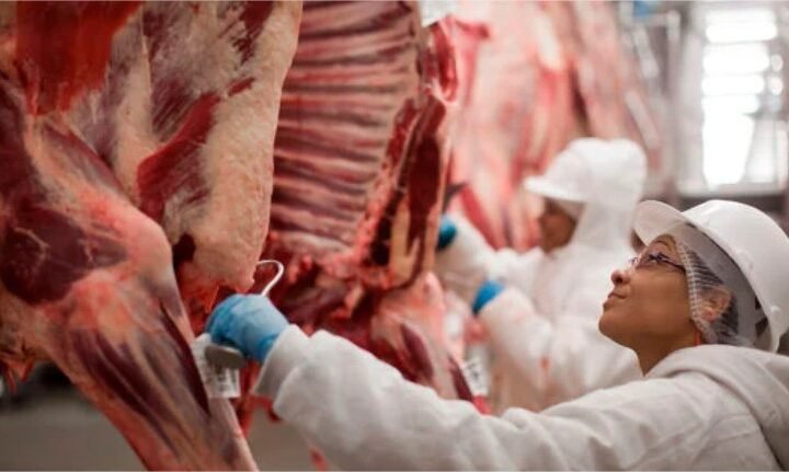 Carne bovina: exportações brasileiras perdem ritmo em julho após semestre histórico