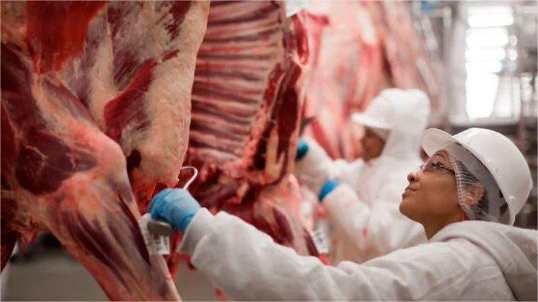 Carne bovina: exportações brasileiras perdem ritmo em julho após semestre histórico