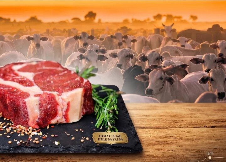 O mapa secreto do boi: Como a carne de Mato Grosso conquistou 88 países e virou âncora global enquanto o vizinho brilha na celulose