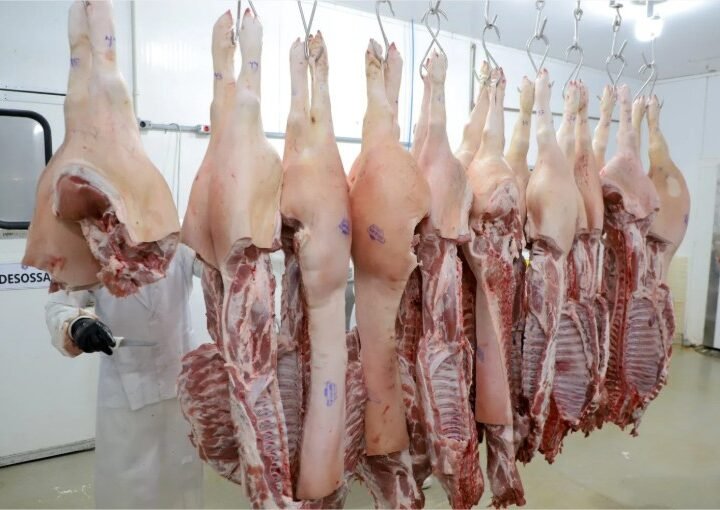 Embarques de carne suína recuam com redução de compras de países asiáticos
