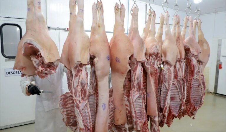 Embarques de carne suína recuam com redução de compras de países asiáticos